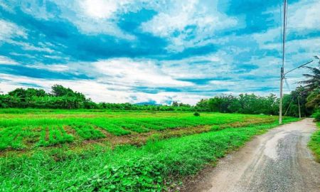 ขายที่ดิน - ขายที่ดิน 100 ตรว.วิวดอย ใกล้ทั้ง เชียงใหม่ ลำพูน