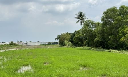 ขายที่ดิน - ที่ดินวงแหวน-บางบัวทอง (ติดหมู่บ้านเสนา วีว่า)