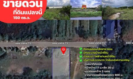 ขายที่ดิน - ขายด่วนต่ำกว่าตลาด ที่ดิน 150 ตรว. ซอย บงกช 15 ต.คลองสอง อ.คลองหลวง จ.ปทุมธานี