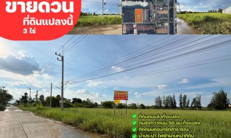 ขายที่ดิน - ขายด่วนที่ดิน 3ไร่ ซอยบงกซ26/1 ต.คลองสอง อ.คลองหลวง จ.ปทุมธานี