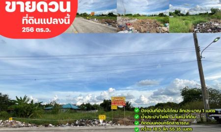 ขายที่ดิน - ขายด่วนที่ดิน 256 ตรว.ติดถนนเส้นหลัก เลียบคลองใหม่เจริญ ม.5-8 ต.หนองเพรางาย อ.ไทรน้อย จ.นนทบุรี