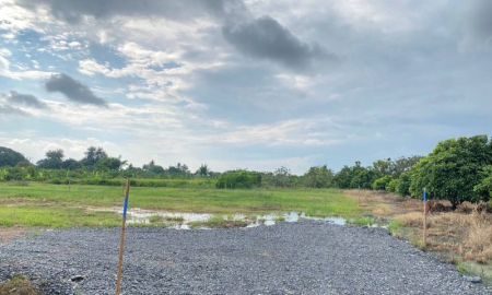 ขายที่ดิน - ขายที่สวนลำใยพัฒนาเรียบร้อยประตูป่าจังหวัดลำพูนพร้อมโอน