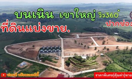 ขายที่ดิน - ขายที่ดินเขาใหญ่ บนเนินเขา *วิว360องศา ( ที่ดินจัดสรรฯ แบ่งแปลง ) อากาศบริสุทธิ์ (ราคาพิเศษ) เนื้อที่เริ่มต้น 300 ตารางวา อ.ปากช่อง จ.นครราชสีมา