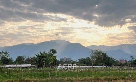 ขายที่ดิน - ขายที่ดินแปลงสวย วิวดอยสุเทพ อ.แม่ริม จ.เชียงใหม่ ขนาด 320 ตร.ว.