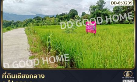 ขายที่ดิน - ที่ดินเชียงกลาง 5 ไร่ 338.2 ตร.ว. น่าน ใกล้วัดกลาง น่าน