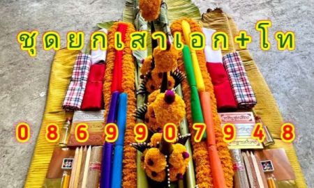 ขายที่ดิน - ชุดยกเสาเอก - ชุดยกเสาโท พุทธมนฑลสาย3ซอย2 ก.ท.ม.