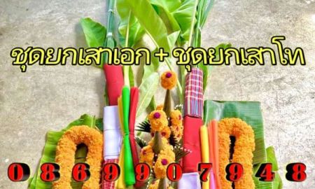 ขายที่ดิน - ชุดลงหลุมเสาเอก-เสาโท บริการยกเสาเอกเสาโท ถนนพุทธมณฑทสาย3ซอย2 ก.ท.ม.