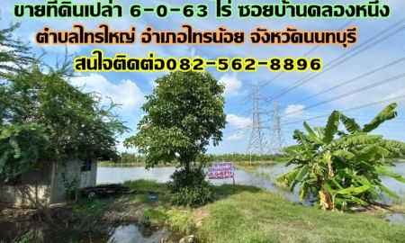 ขายที่ดิน - ขายที่ดินเปล่า 6-0-63 ไร่ ซอยบ้านคลองหนึ่ง ตำบลไทรใหญ่ อำเภอไทรน้อย จังหวัดนนทบุรี