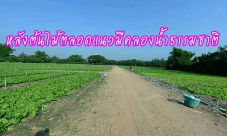 ขายที่ดิน - ขายที่ดินผืนใหญ่ 30 ไร่ ที่ติดกับอดุลย์ แสงสิงแก้ว 120 ล้านบาท