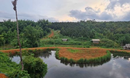 ขายที่ดิน - ขายที่ดินสวนทุเรียน อ.ขลุง จ.จันทบุรี มีคลอง น้ำตก ภูเขาล้อมรอบ