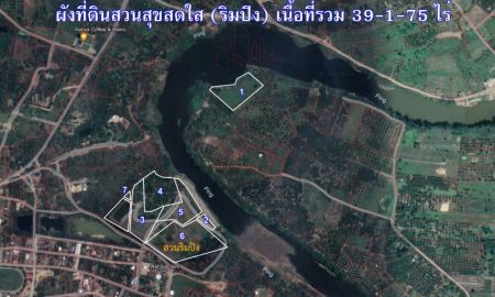 ขายที่ดิน - ขายด่วน ที่ดินติดแม่น้ำปิง อำเภอจอมทอง เชียงใหม่ เหมารวม 7 แปลง ราคาถูก เหมาะทำที่พักจากอากาศ