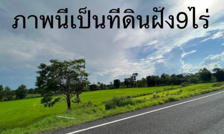 ขายที่ดิน - ขายที่ดินติดถนนดำพิกัด บ้านผือบ้านแสงไผ่ อ ม่วงสามสิบ จ.อุบล