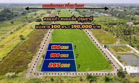 ขายที่ดิน - ที่ดินคลอง 9 หนองเสือ ปทุมธานี แบ่ง 100 ตารางวา 390,000 บาท แบ่ง 205 ตารางวา 922,500 บาท