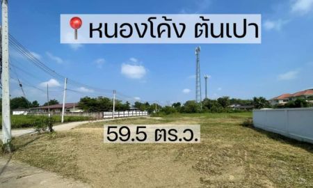 ขายที่ดิน - ขายที่ดินบ้านหนองโค้งตำบลต้นเปาสันกำแพงโฉนดพร้อมโอน