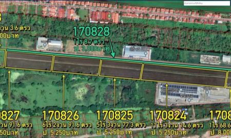 ขายที่ดิน - ขายที่ดิน 12-3-83 ไร่ คลอง9 ติดถนน (พื้นที่สีม่วง) หน้ากว้าง 66 เมตร ยาว 325 เมตร ตำบลลำลูกกา อำเภอลำลูกกา จังหวัดปทุมธานี