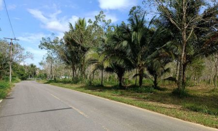 ขายที่ดิน - ขายที่ดิน ใน เขตเทศบาลอำเภอ ท้ายเหมือง พังงา เจ้าของขายเอง