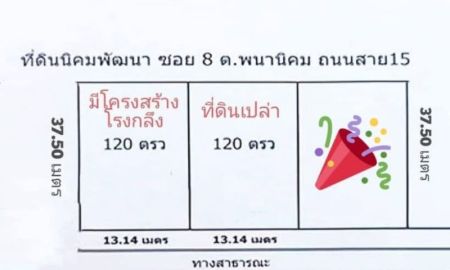 ขายที่ดิน - ขายที่ดินมีถนน, น้ำ,ไฟครบ อ.นิคมพัฒนา จ.ระยอง พื้นที่ 120 ตรว.