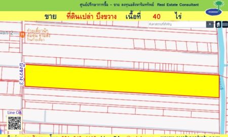 ขายที่ดิน - ขายที่ดิน 40 ไร่ ซ.บึงขวาง 3 แปลงสวย ทำเลดี ( 002352 )