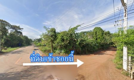 ขายที่ดิน - ขายที่ปลูกพืชไร่ 13 ไร่ ต.ลาดตะเคียน อ.กบินทร์บุรี จ.ปราจีนบุรี