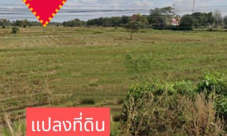 ขายที่ดิน - ขายที่ดิน จ.นครราชสีมา อ.จักราช บ้านละกอ ต.ศรีละกอ จ.นครราชสีมา