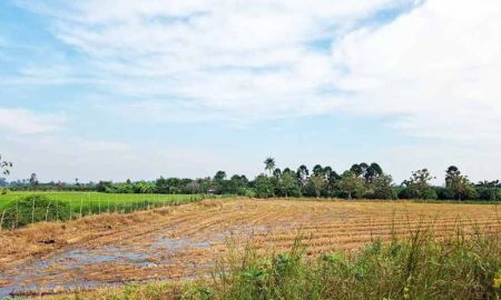 ขายที่ดิน - ขายที่ดินติดถนนทางหลวงเลี่ยงเมืองสุพรรณบุรี มดแดง ศรีประจันต์