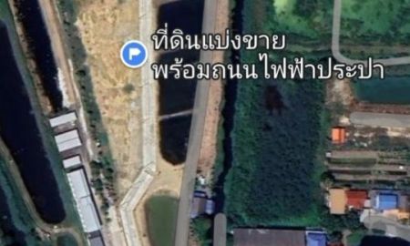 ที่ดิน - ขาย-ให้เช่าที่ดิน 692.4 ตรว.ติดคลอง1ด้าน เป็นสัดเป็นส่วนเอกเทศ เช่าระยะยาว-สั้น ถ.คอนกรีตเข้ากลาง,พร้อมไฟฟ้าประปา ต.บางปลา อ.บางพลี ถ.เทศบาลบางปู 113