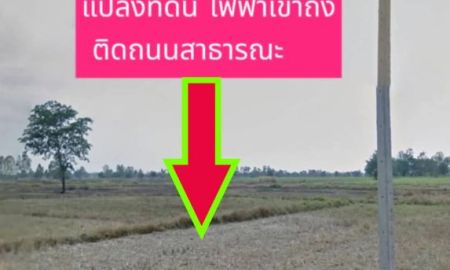 ขายที่ดิน - ขายที่ดินบ้านหนองนกกวัก อำเภอจักราช นครราชสีมา