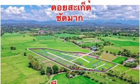 ขายที่ดิน - ขายที่ดิน245ตรว.-1ไร่ เริ่ม1.1ลบ. ฟรีโอน วิวพระธาตุดอยสะเก็ด น้ำ ไฟฟ้า ถนน บ.ดอกแดง ต.สง่าบ้าน อ.ดอยสะเก็ด เชียงใหม่