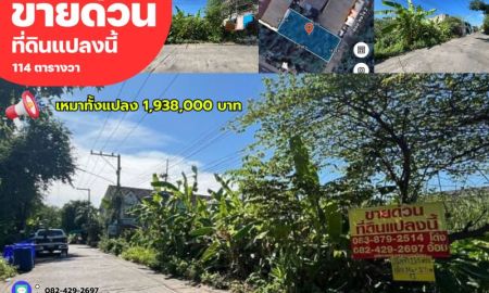 ขายที่ดิน - ขายด่วนที่ดินทำเลดี 114 ตรว. ซอยสุขใจ 2 เมืองปทุม จังหวัดปทุมธานี