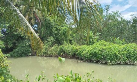 ขายที่ดิน - ที่สวยเหมาะสร้างบ้าน 1 ไร่ ติดคลอง ติดถนนลาดยาง วิ่งเรือออกแม่น้ำแม่กลองนิดเดียว