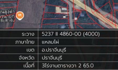 ขายที่ดิน - ขายที่ดินราคาถูก ปราจีนบุรี ติดถนนสองฝั่ง