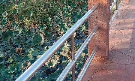 ขายที่ดิน - ที่ดิน46ไร่ขายยกแปลง ในราคาดีมาก ใกล้วัดปรมัย บนเกาะเกร็ดทำพูวิลล่า บนเกาะเกร็ด