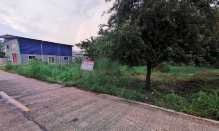 ขายที่ดิน - ขาย ที่ดิน (ขายยกแปลง) ถมแล้ว ที่ดินสวยมาก ติดถนนคอนกรีต ติดคลอง ที่ดิน คลอง 3 5 ไร่