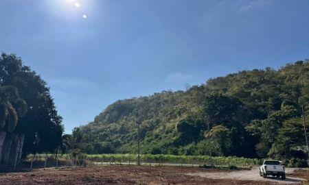 ขายที่ดิน - ขายที่ดินเขาใหญ่ 1 ไร่ ที่ดินหมูสี ท่าช้าง ปากช่อง ใกล้ธนะรัชต์ ใกล้คีรีมายา น้ำผุดธรรมชาติ วิวเขาสวยมาก ติดถนนลาดยาง ใกล้ตลาด ร้านค้า เดินทางสะดวก