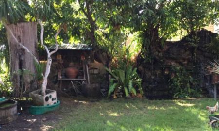 ขายบ้าน - ขายบ้านเดี่ยว2ชั้น หมู่บ้านสัมมากร มีนบุรี 60 ตารางวา 5.5ล้าน 4 ห้องนอน 3 ห้องน้ำ ต้นไม้ร่มรื่น