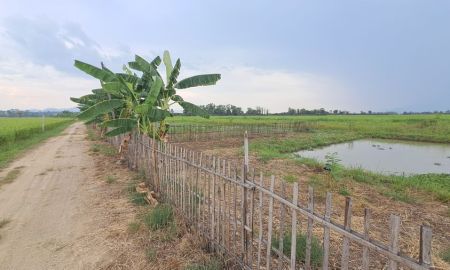 ขายที่ดิน - ขายสวนผสมแปลงเล็ก วิวภูเขาล้อมรอบ เหมาะทำบ้านสวนพอเพียง บ้านริมนา คาเฟ่ริมนา