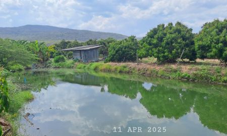 ขายที่ดิน - ร้อนเงินขายใช้หนี้ เจ้าของขายเองสวนลำไยบ่อปลาเชิงเขา อ.จอมทอง จ.เชียงใหม่ ห่างถนนสี่เลนส์เพียง 900 เมตร เหมาะทำบ้านพักตากอากาศ บ้านสวน