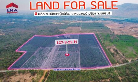 ขายที่ดิน - ขายที่ดินเปล่าแปลงใหญ่ พื้นที่ 127-3-22 ไร่ ตำบลท่าตะคร้อ อำเภอหนองหญ้าปล้อง จังหวัดเพชรบุรี