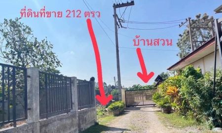 ขายที่ดิน - ขายที่ดินแถวสันคือหนองผึ้งสารภีโฉนดพร้อมโอน