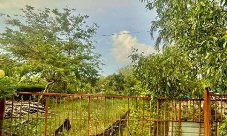 ขายที่ดิน - ขาย ที่ดิน หนองเสือ คลอง14 251ตร.วา. รีบใช้เงิน วัดประสิทธิเวช 4.2 กม.ติดถนนสาธารณะ ลาดยางแล้ว ตลาดธนกิจ หนองเสือ 5กม. ปทุมธานี