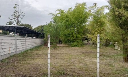 ขายที่ดิน - ขายทีดินตำบลสันผักหวานหางดงทำเลดีใกล้เมืองโฉนดพร้อมโอน