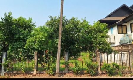 ขายที่ดิน - ขายที่ดินตำบลช้างเผือกโชตนาห่างถนนหลักเพียง 350 เมตร