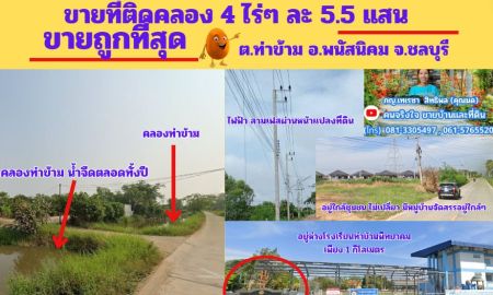 ขายที่ดิน - ขายถูกที่สุด ที่ดิน 4 ไร่ๆละ 5.5 แสน ต.ท่าข้าม อ.พนัสนิคม จ.ชลบุรี
