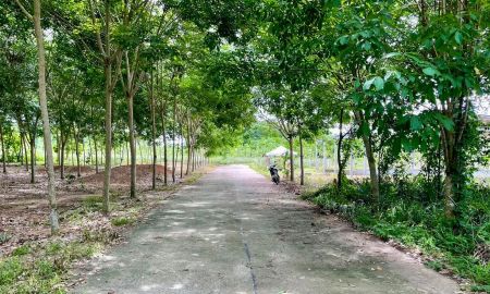 ขายที่ดิน - ขายที่ดินหนองละลอกติดถนนคอนกรีตเนื้อที่ 101 ตรว เหมาะปลูกบ้านสวน ใกล้ตลาดบ้านค่าย 3กม ระยอง
