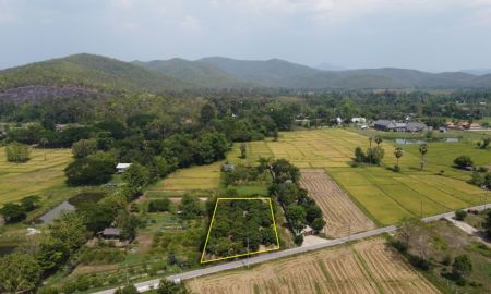 ขายที่ดิน - สวนลำไย 1 ไร่ หลังสนามกอลฟ์เซนครีก สันกำแพง