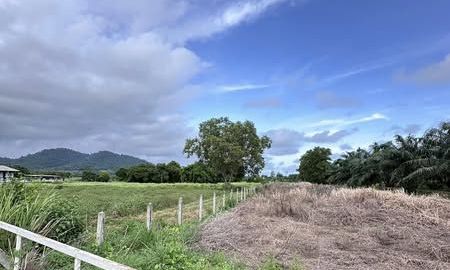 ขายที่ดิน - ขายที่ดินตะพงติดวิวเขาเนื้อที่ 300 ตรว ติดถนนคอนกรีต ใกล้ถนนสุขุมวิท3 800เมตร เมืองระยอง