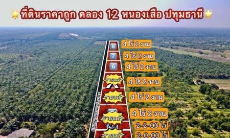 ขายที่ดิน - ขายที่ดินนพรัตน์ 4 ไร่ คลอง 12 ราคาถูกๆ ถมแล้ว ติดรางน้ำ เหมาะปลูกบ้านสวนเกษตร หนองเสือ ปทุมธานี