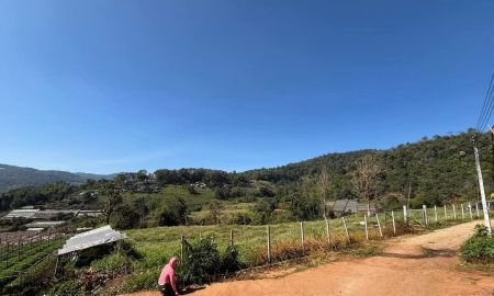ขายที่ดิน - ขายที่ดินบนเนินดอยโป่งแยงแม่ริมโฉนดพร้อมโอน
