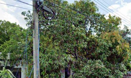 บ้าน - ที่ดิน พร้อมสิ่งปลูกสร้าง ตำบล หนองผึ้ง สารภี จังหวัดเชียงใหม่ ให้เช่าด่วน/ ขายด่วน