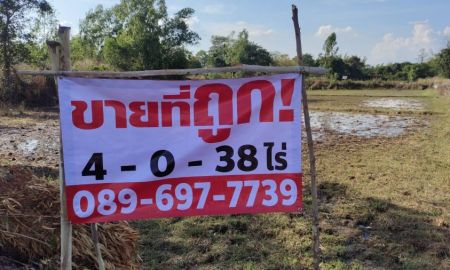 ขายที่ดิน - ขายด่วนๆ เจ้าของที่ขายเอง ที่ดิน 4 ไร่ 38 ตารางวา